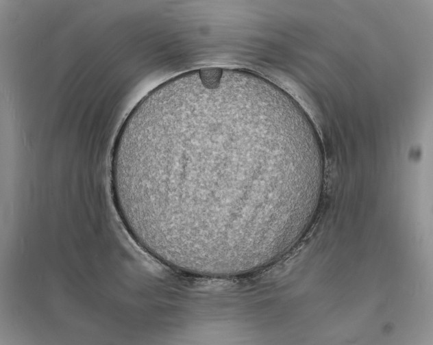 X0000094061187200711091121
