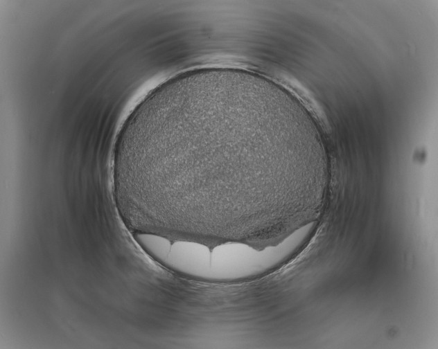 X0000094061188200711091121