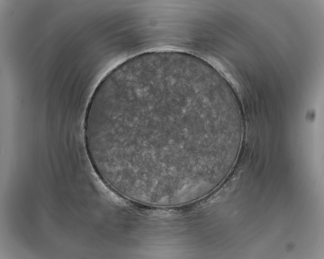 X0000094061189200711091121