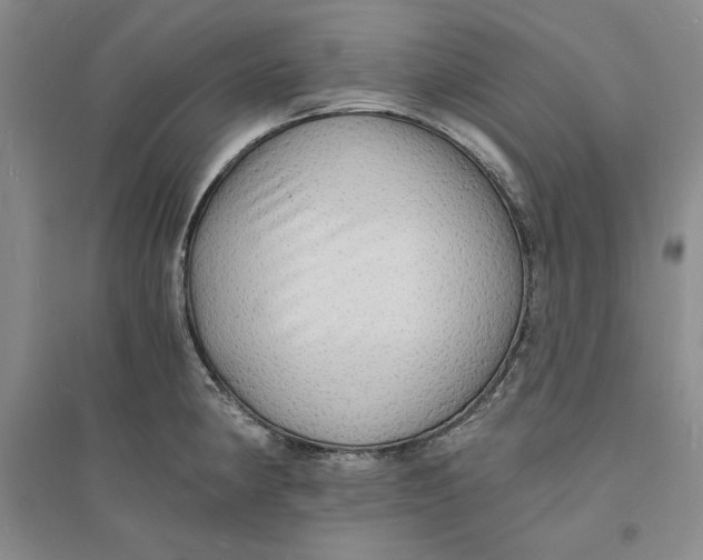 X0000094061190200711091121