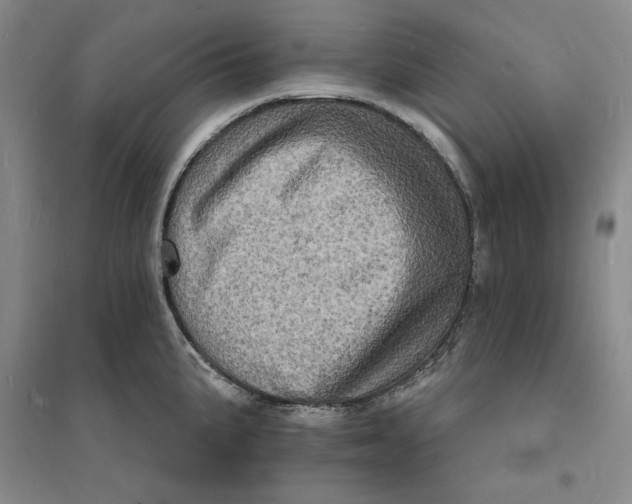 X0000094061191200711091121