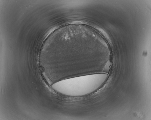 X0000094061193200711091121