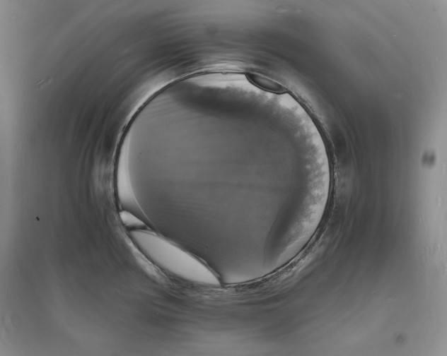 X0000094061194200711091121