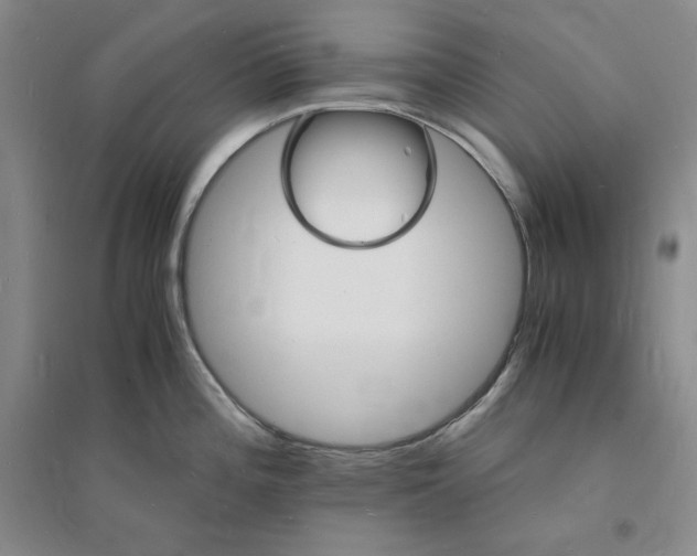 X0000094061196200711091121