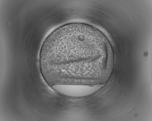X0000094061199200711091121