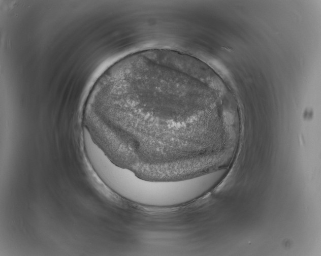 X0000094061200200711091121