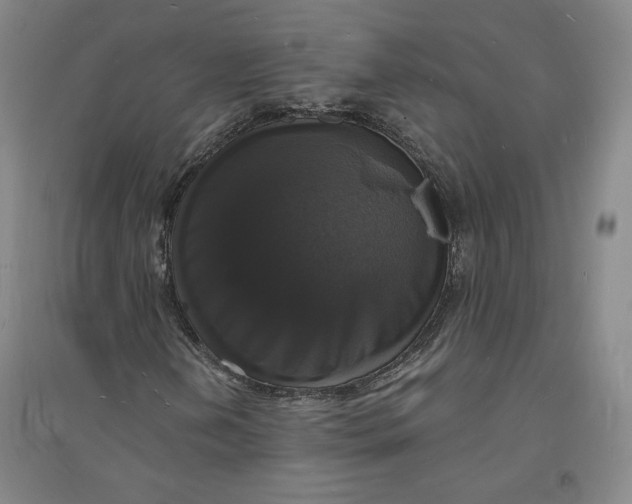 X0000094061202200711091120