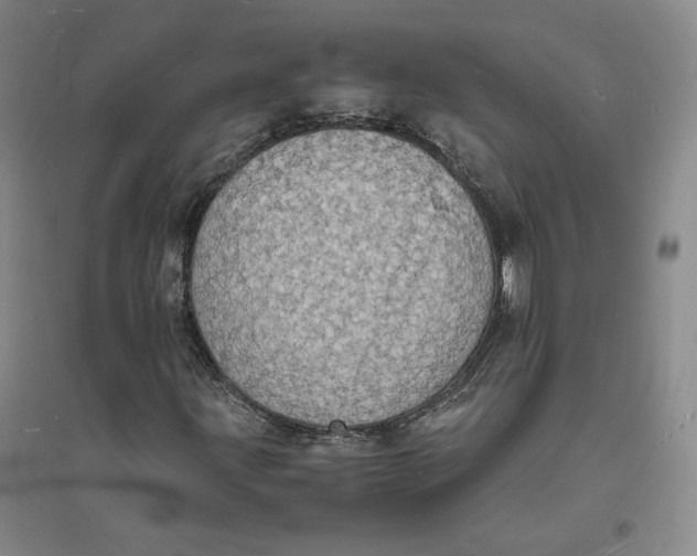 X0000094061203200711091120