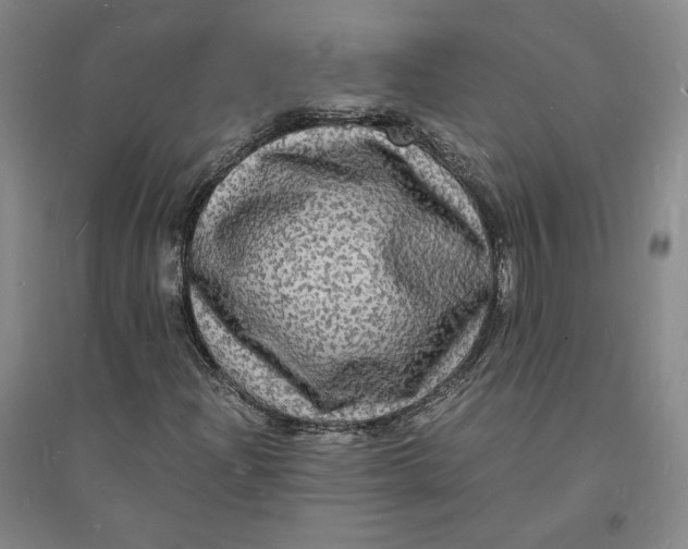 X0000094061204200711091120