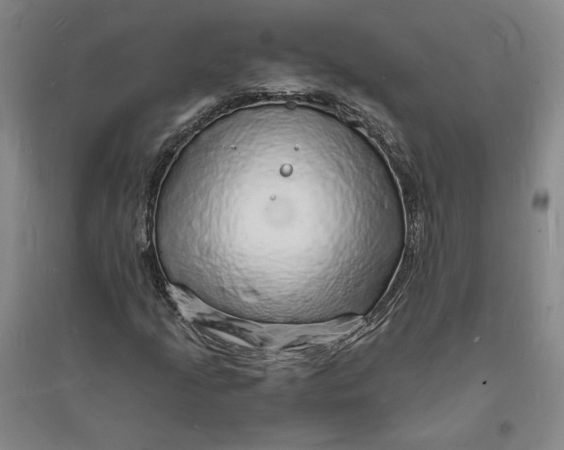 X0000094061205200711091120