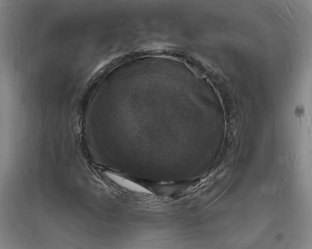X0000094061206200711091120
