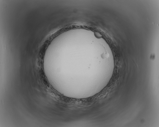 X0000094061207200711091120