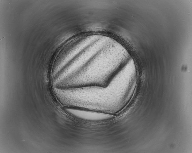 X0000094061209200711091120