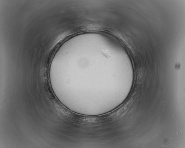 X0000094061211200711091120