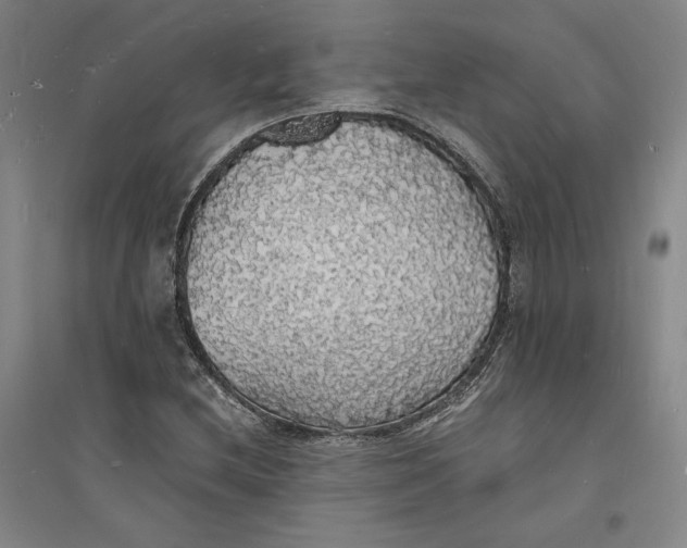 X0000094061212200711091120