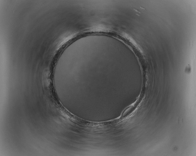X0000094061213200711091120