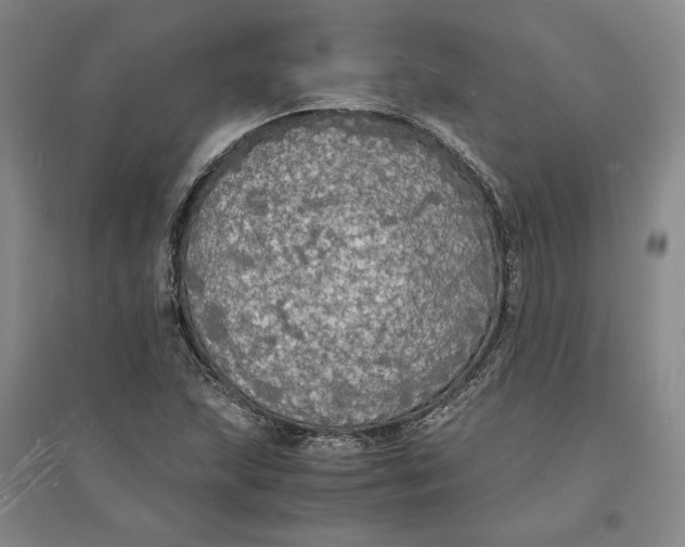 X0000094061215200711091120