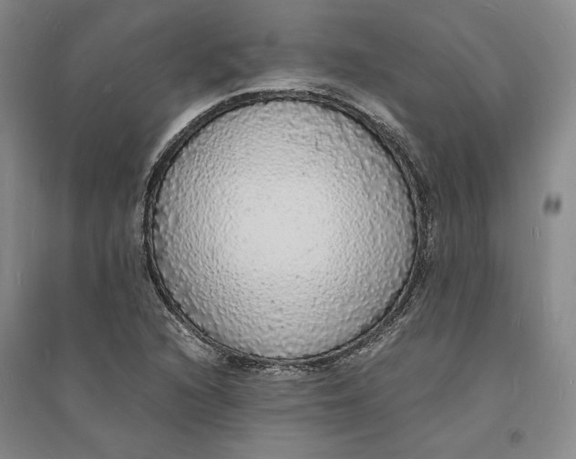 X0000094061216200711091120
