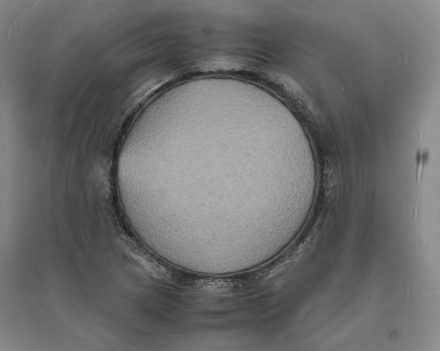 X0000094061217200711091121
