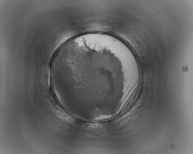 X0000094061219200711091121