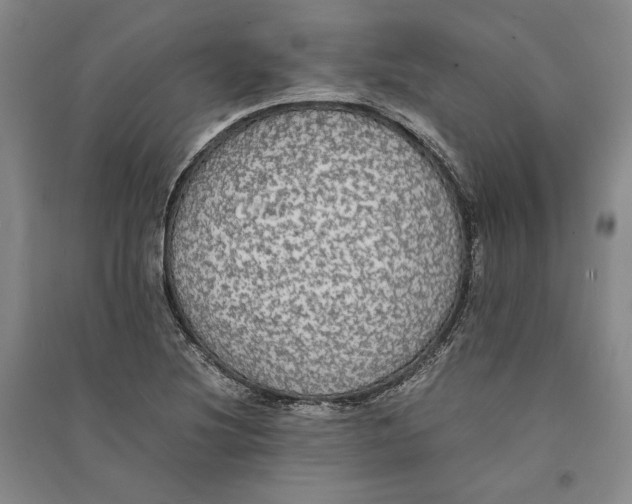 X0000094061220200711091121