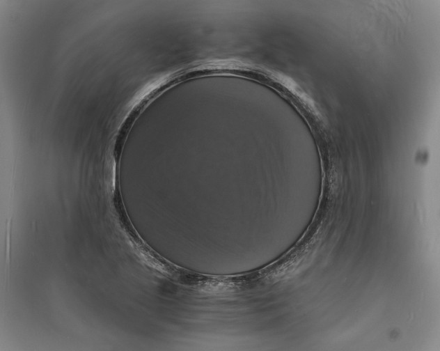X0000094061221200711091121