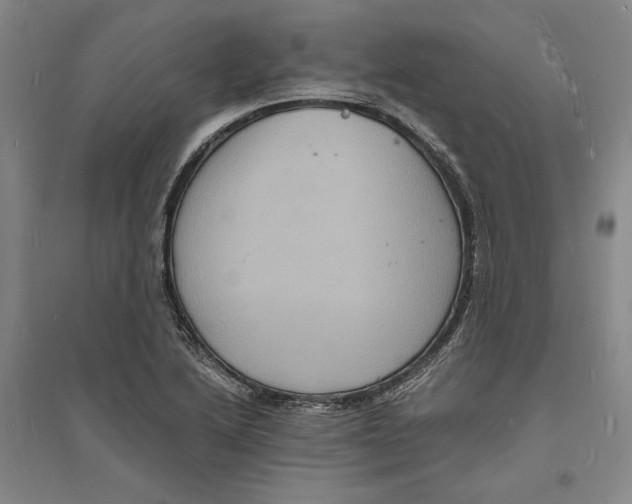 X0000094061222200711091121