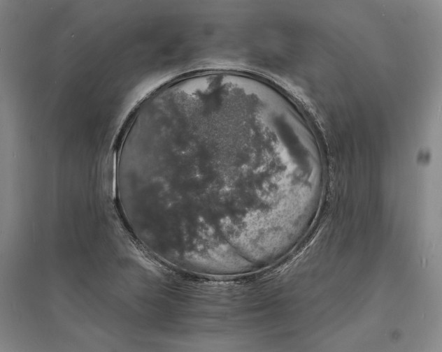 X0000094061223200711091121