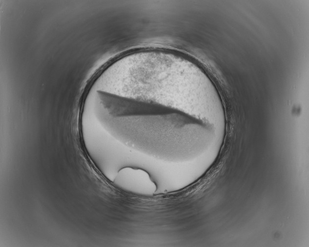 X0000094061224200711091121