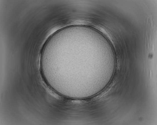X0000094061227200711091121