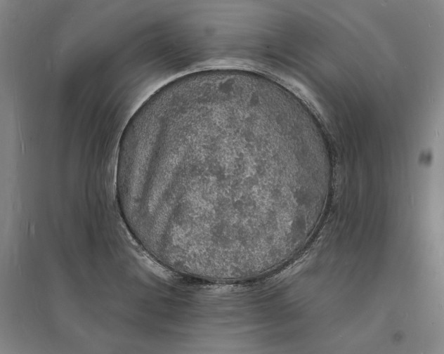 X0000094061228200711091121