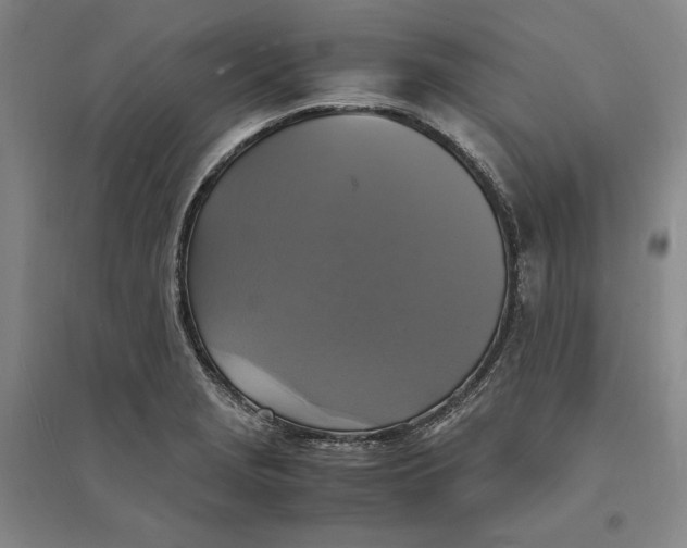X0000094061229200711091121