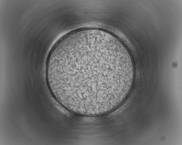 X0000094061232200711091121