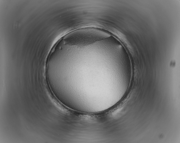 X0000094061234200711091121