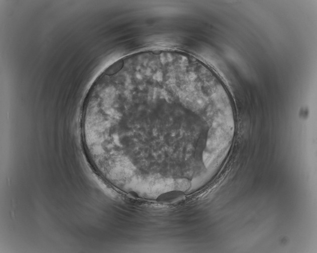 X0000094061235200711091121