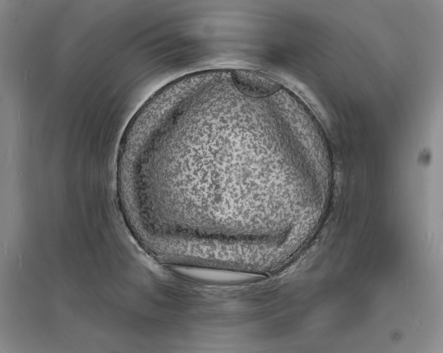 X0000094061236200711091121
