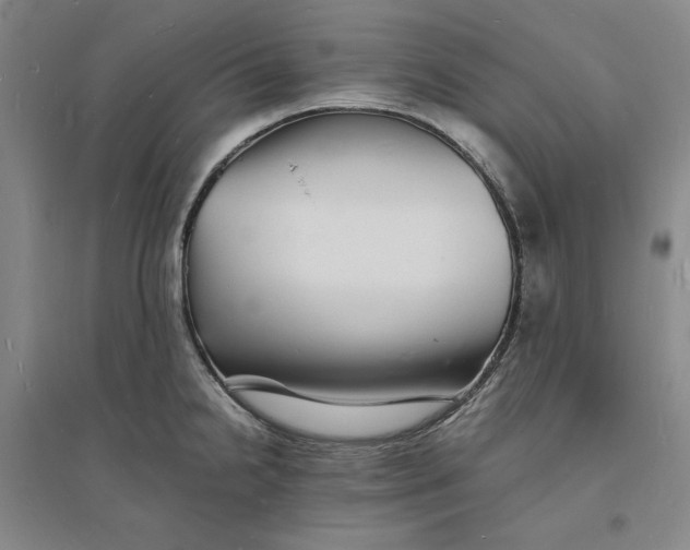 X0000094061238200711091121