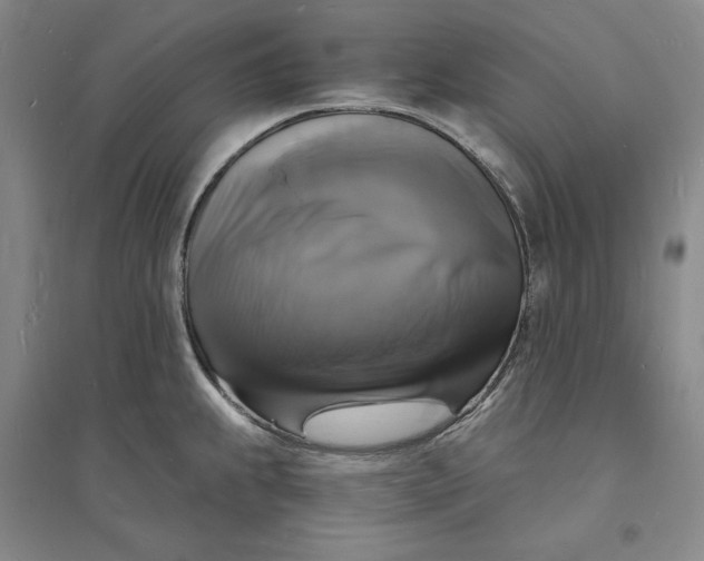X0000094061239200711091121