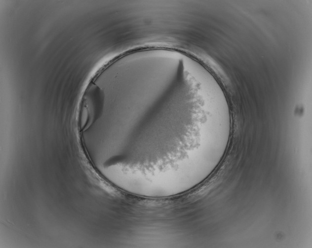 X0000094061240200711091121