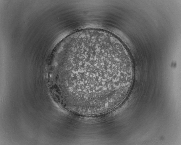 X0000094061241200711091121