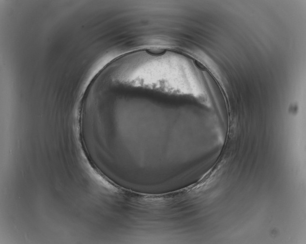 X0000094061243200711091121