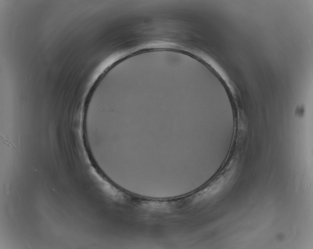 X0000094061245200711091121