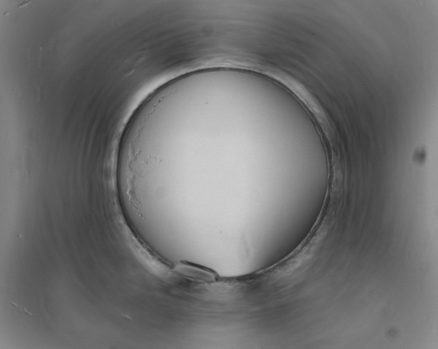 X0000094061246200711091121