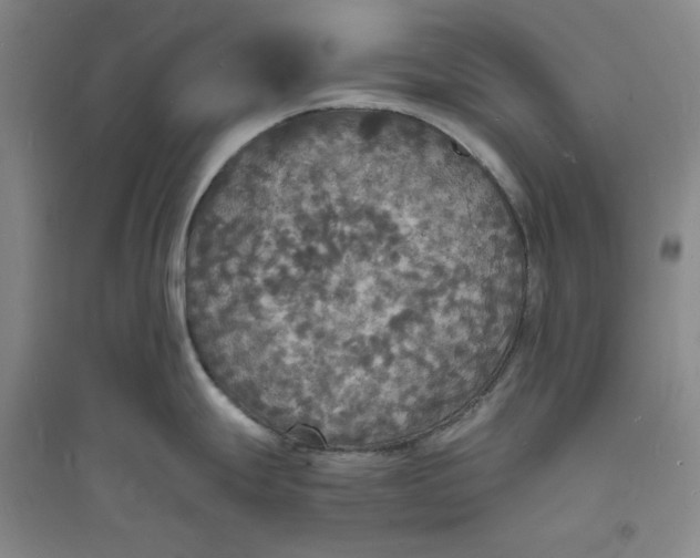 X0000094061247200711091121
