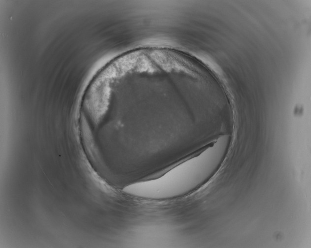 X0000094061248200711091121