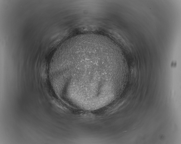 X0000094061250200711091120