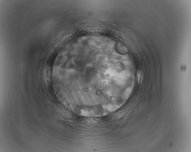 X0000094061251200711091120
