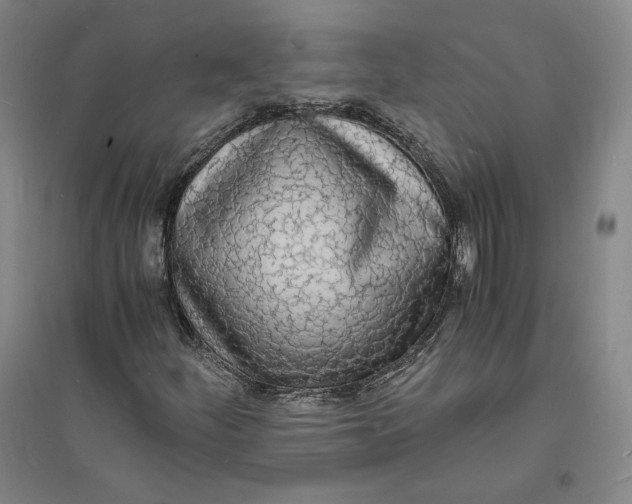 X0000094061252200711091120