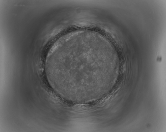 X0000094061253200711091120