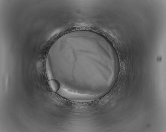 X0000094061254200711091120